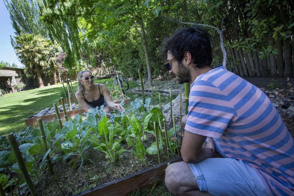 Casa La Galeana - Eco Boutique Hotel Chacras de Coria Eksteriør billede