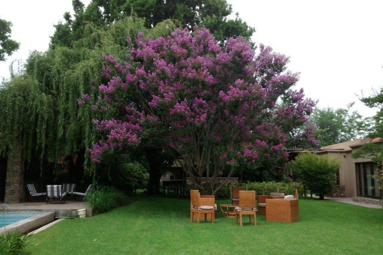 Casa La Galeana - Eco Boutique Hotel Chacras de Coria Eksteriør billede